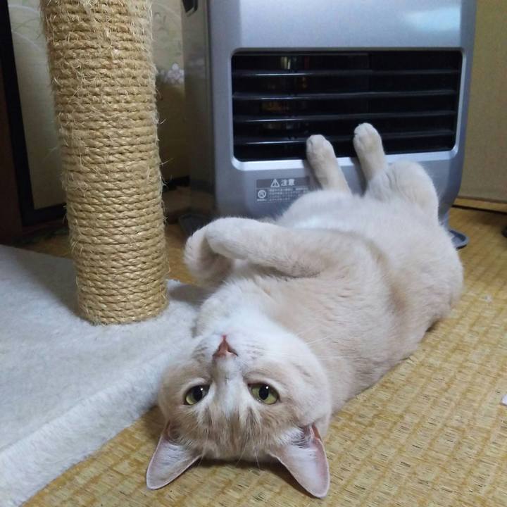 B0058817 53a3 4828 b19a 70ab5e5ce30f