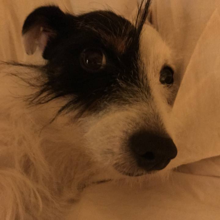 B00646f6 ce55 4be7 a1a9 eb57ef46316b