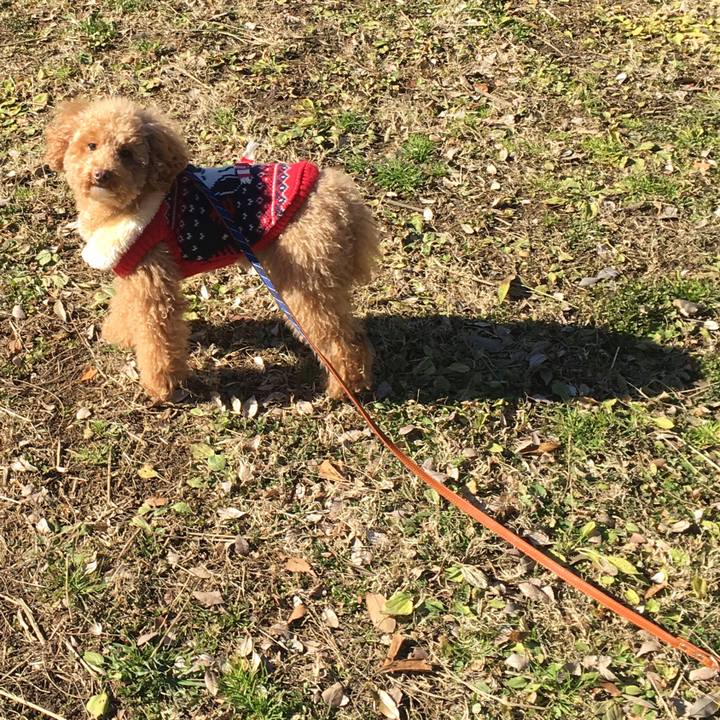 B0066ca0 e821 4145 86c1 f4895dbcef14