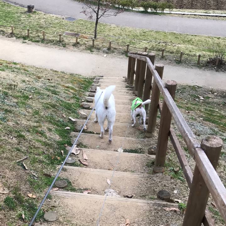 B0067fd0 ad9b 4516 94af 184d95dc58bb