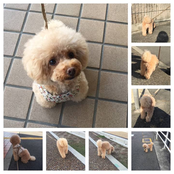 B0069796 1fcf 425b acad 04a460f3f593