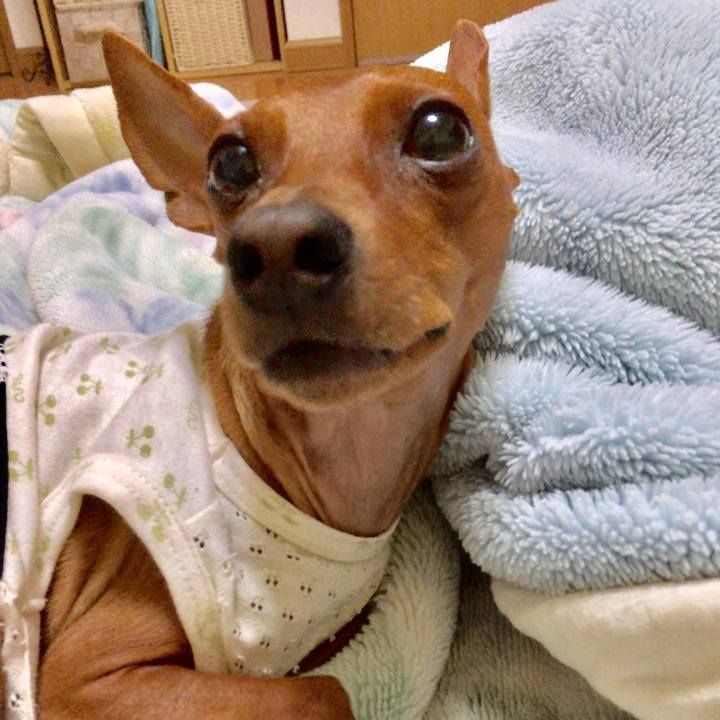 B006f8c3 9951 4048 9a53 bf67f8d3d8d8