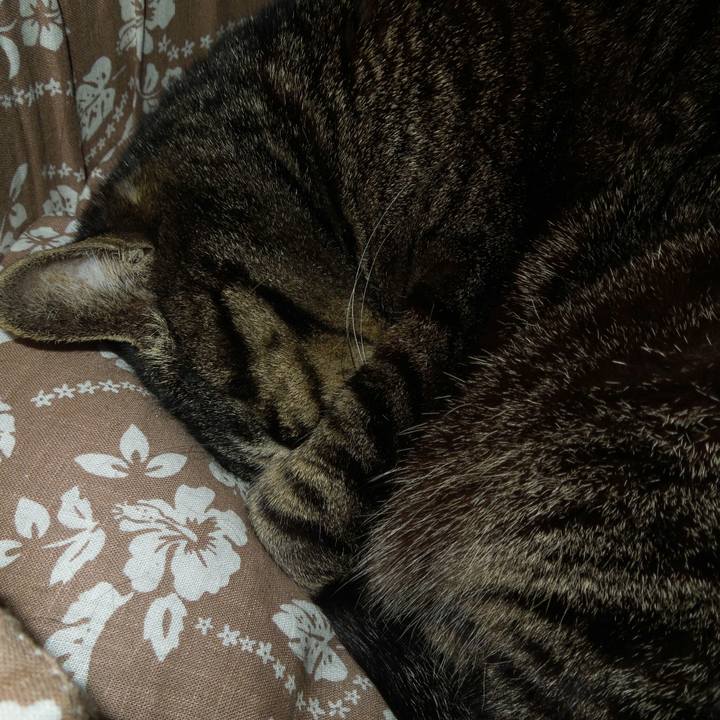 B007141e d0e2 486d ae74 a4bc8bcafcc8