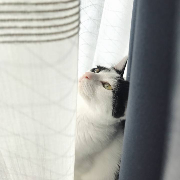 B0080785 128b 4dfb 8787 af1faa82cd1c