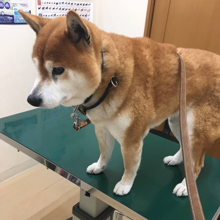 B0080b07 0e52 4dc8 9cfe 7eff29136e9f