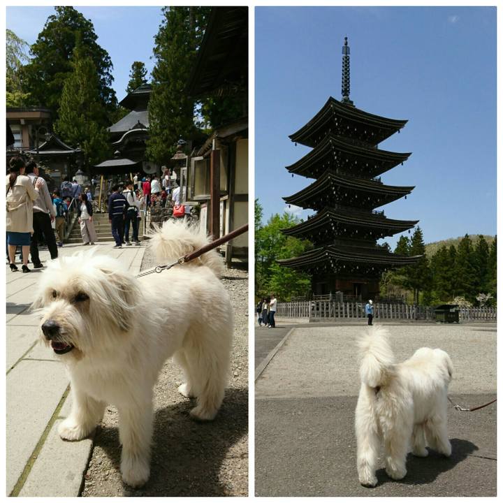 B00822db 80b8 44eb 991e 1b9340c5e382