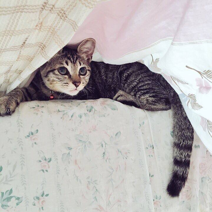 B0083da0 2d9c 4194 afcb 94d5710d0311