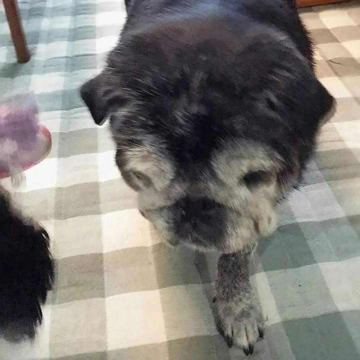 B008d46f a200 4f60 be15 9426a0d3c791