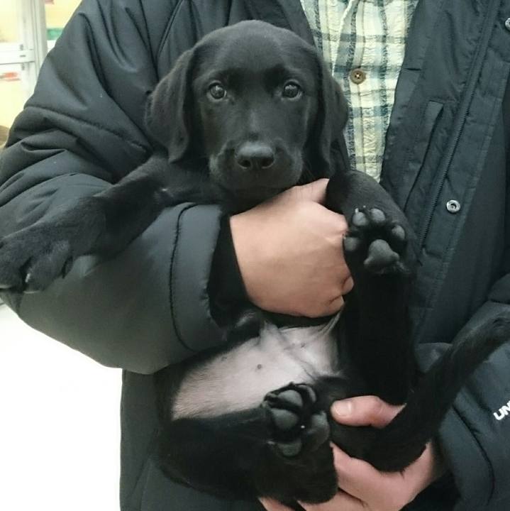 B009d64b 7bdc 4e86 807b 2073d4f49ee9