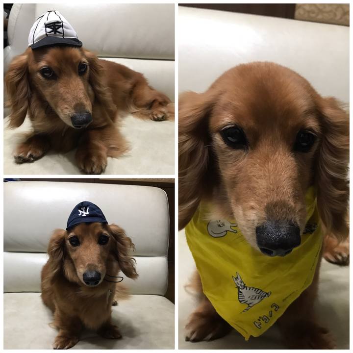 B009ec1d 22bb 4745 8575 7a2820d16118