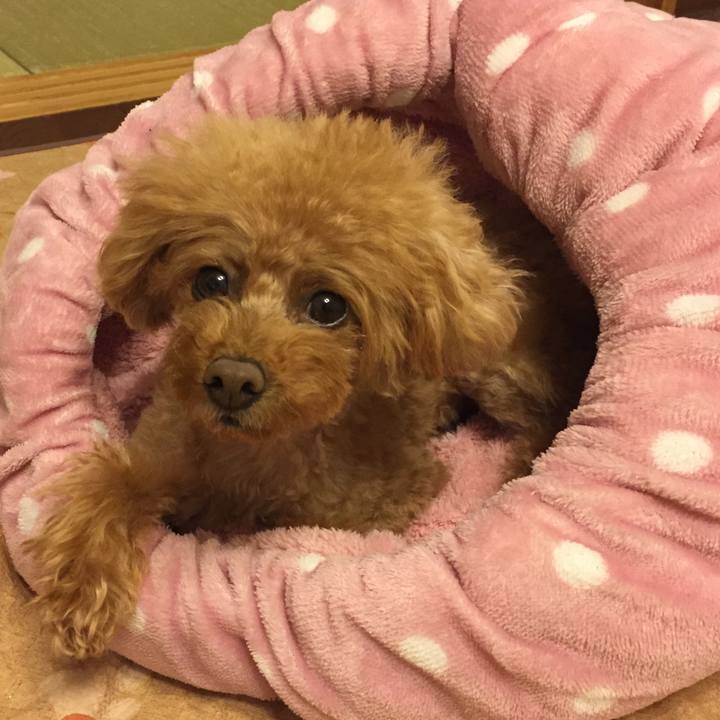 B00a37b3 6120 4d85 b411 72b7dcdf3d0f