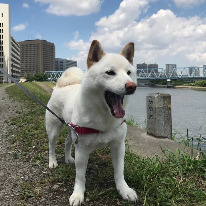 B00a3d17 1be4 4f5c 953d 3a6ba1cbdc1d