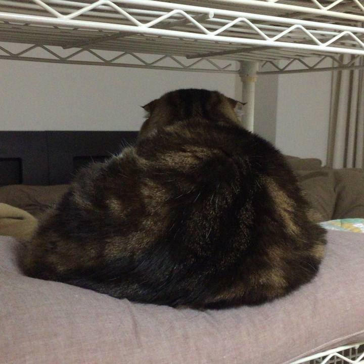 B00b5523 b56a 4a66 9f2f 1ce0793555b5