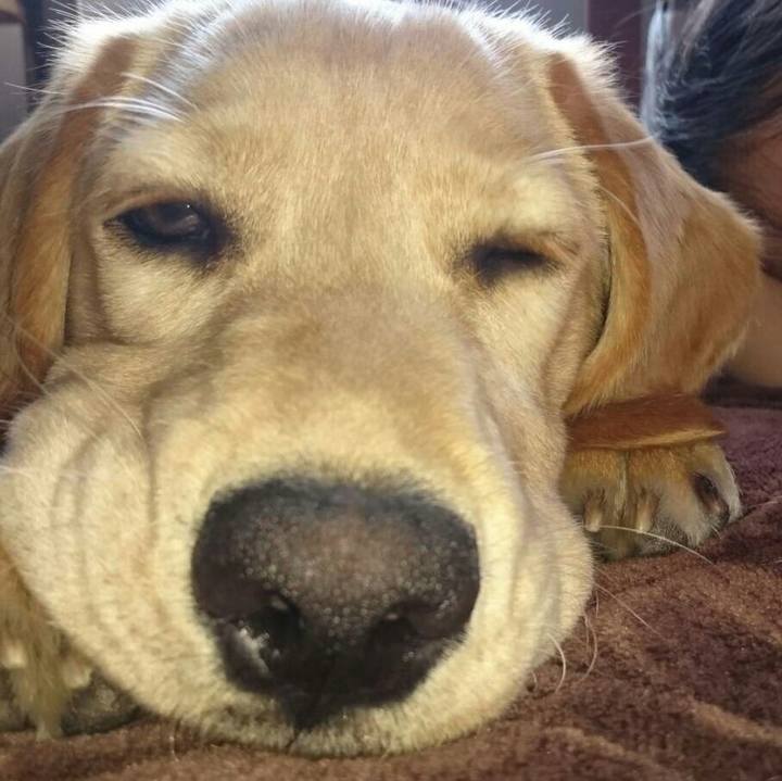 B00da17d 5b7c 46a6 9e6e 56cecd952ab7