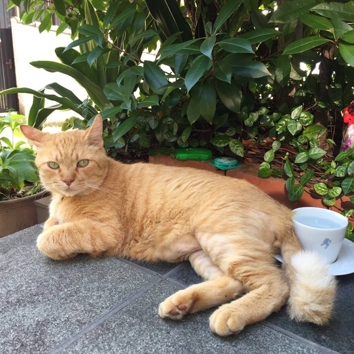 B00df01c b27a 48d1 b661 259a3f4b89f1