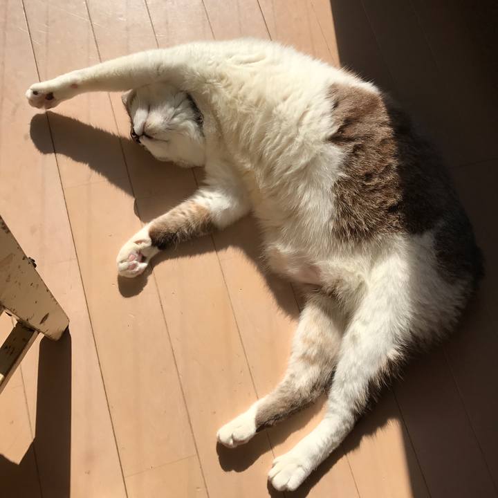 B00fd7fe 6e89 48d1 a027 b8e2cc4c02a7