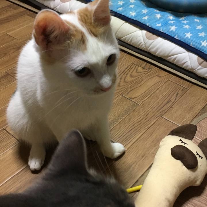 B0103be4 5541 4553 b3b6 cbe59d7f31f6