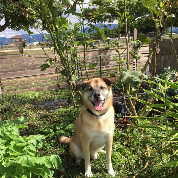 B010a6a5 ed86 45e1 96da e1fb76b8f962