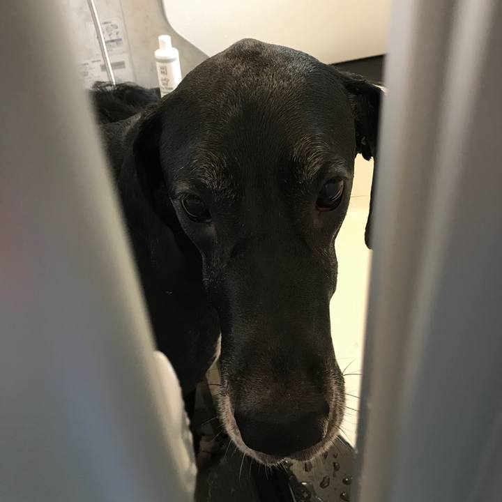 B010d57e 5b51 4de3 8265 c8f20a526c2f