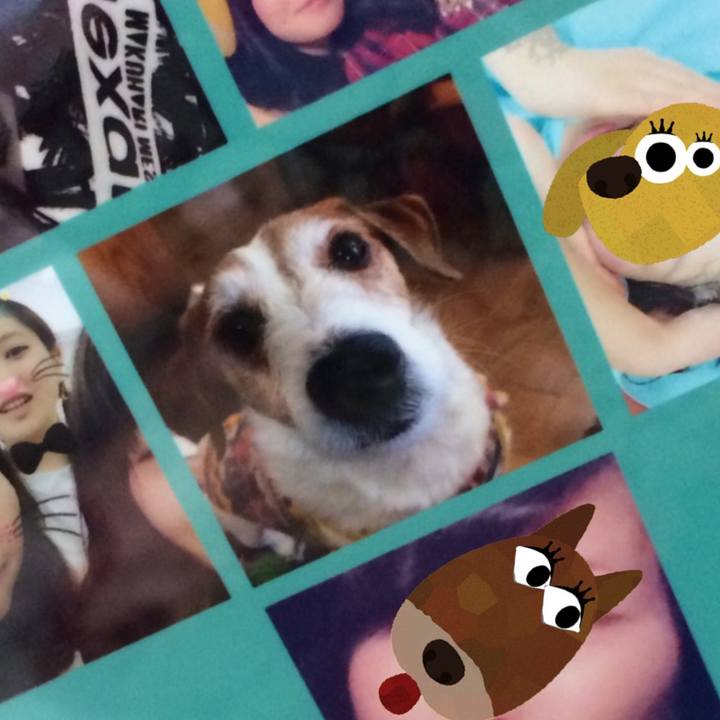 B012023d 05a6 4540 bd60 006eda03ae70