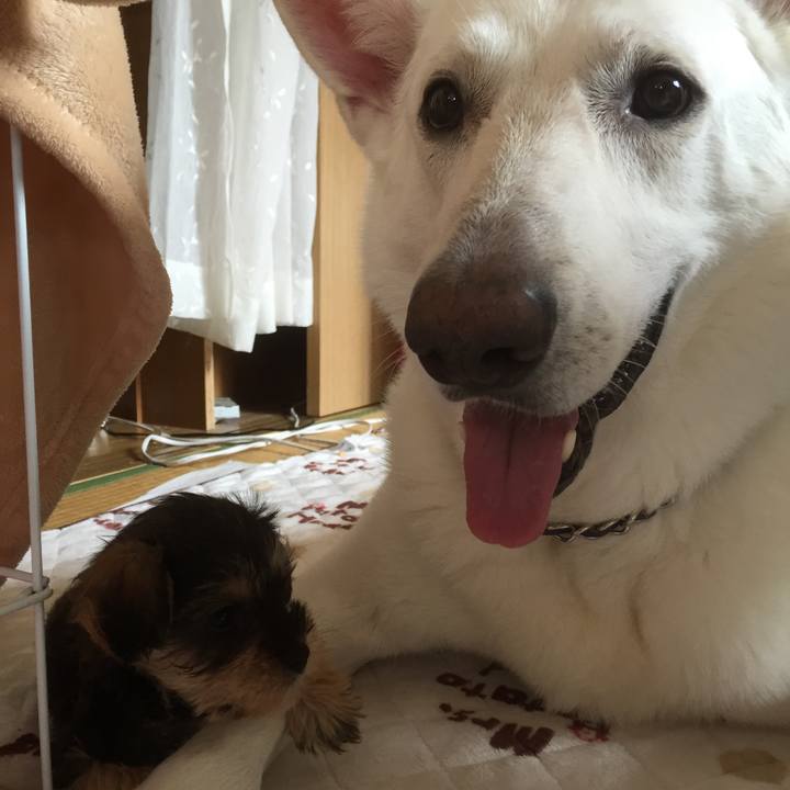 B0124635 eaec 4d4e 8b43 93b5906293f1