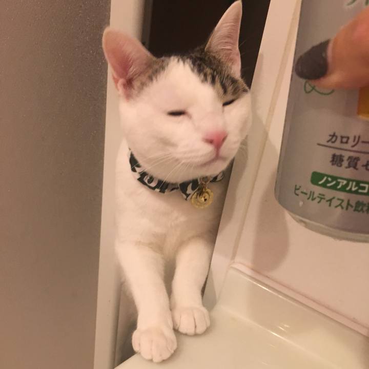 B0129aed a5b6 47a9 9820 528474b9a45f