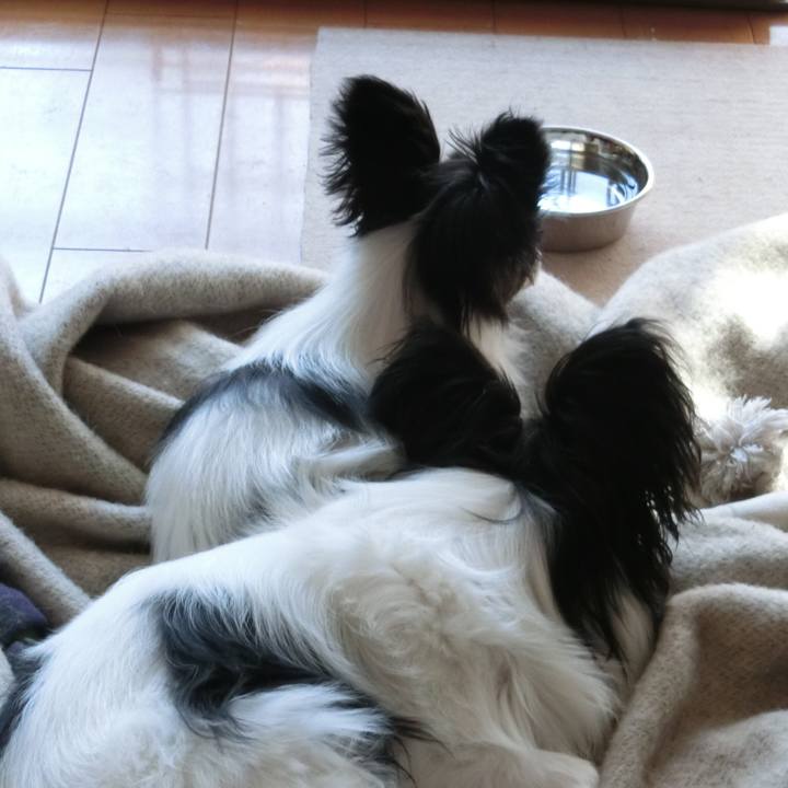 B012bccf 41a4 4862 a52e 6a45e114e5ee