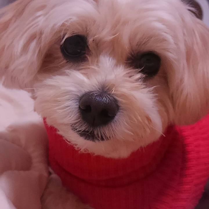 B0133d06 7b3f 4948 8b1d f1c61098ca79