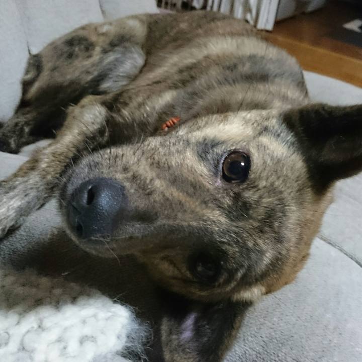 B01375ef 10b1 45f4 ad4d 233738606bc8