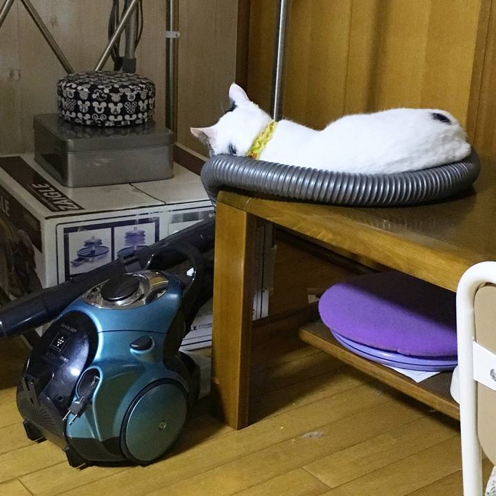 B01406fe dbd8 4360 bb29 7830813869d1