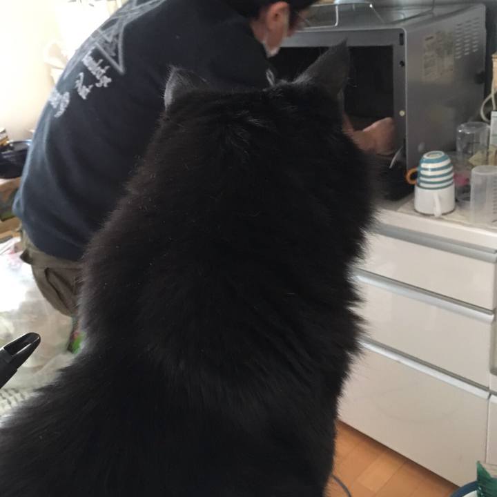 B014c407 9bd2 4b8b 9ac0 2e53035ea694