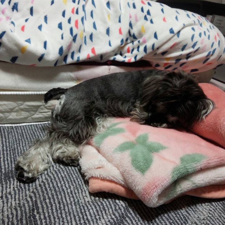 B0155202 0ebb 4711 9c45 ad3a2a356ab0