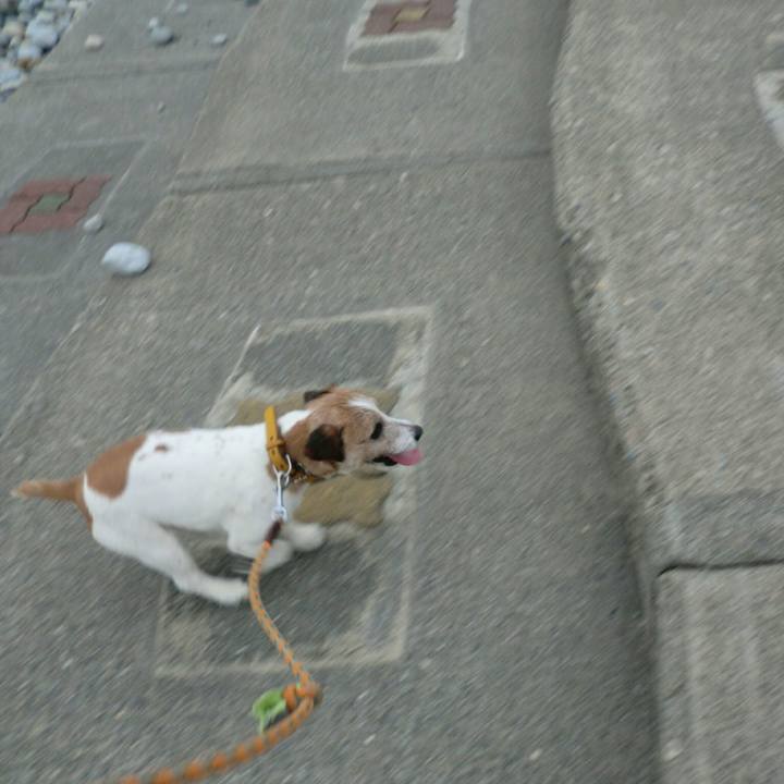 B015a8d3 94fa 4f13 a9bb 9a5621397d24