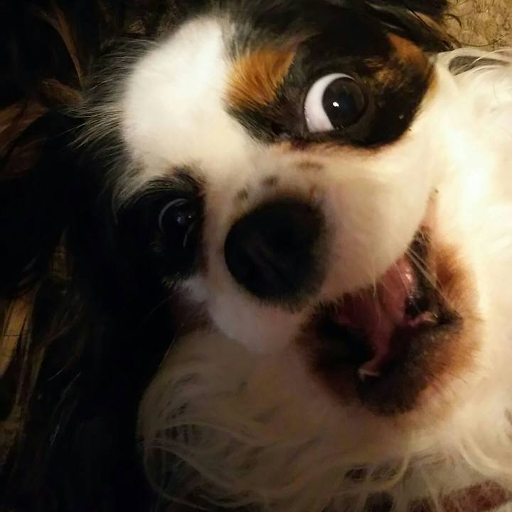 B015cee8 e19f 4ba7 8bd7 03fb624ef198