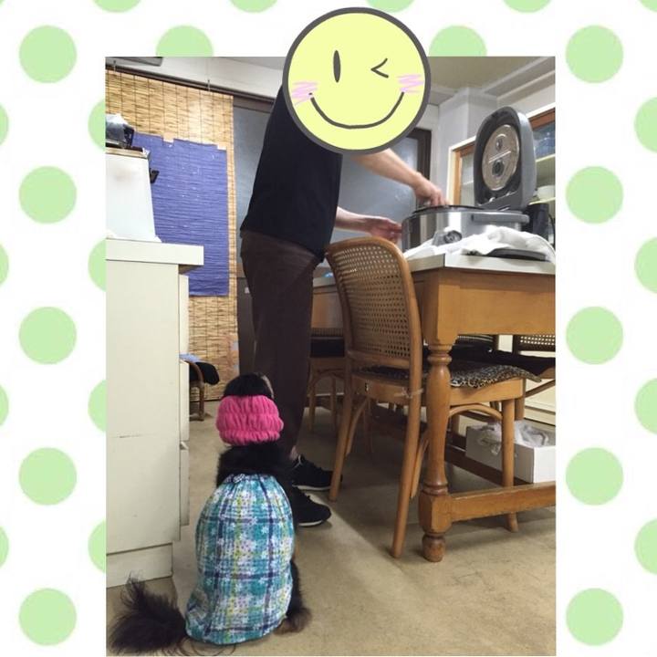 B0160675 a011 4146 a560 9ac46a84bb1f