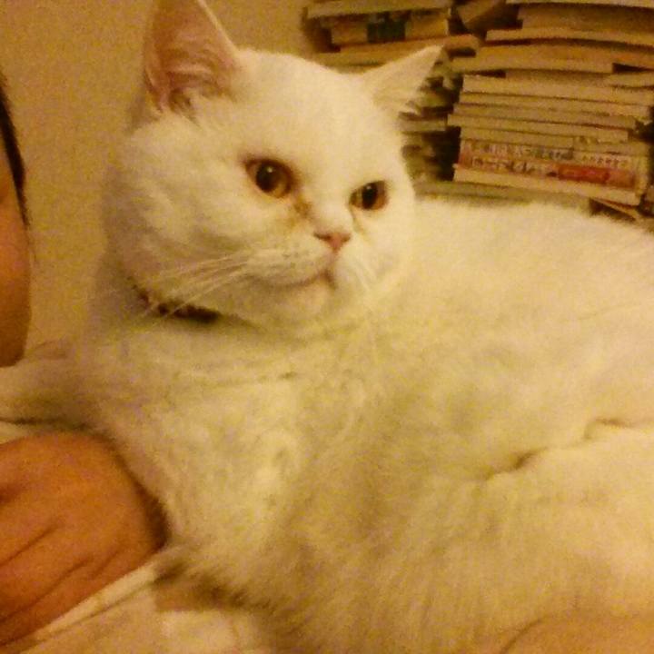 B0166d86 3f11 4553 86d6 dca4e83d9517