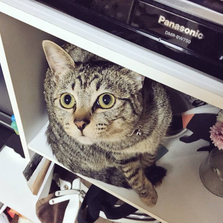 B0174d51 d230 4c9d 900b 32aedc381b8b