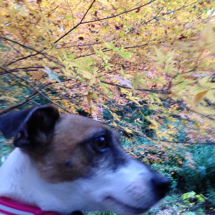 B017c7c8 9aa9 4767 8654 3e133e90255c