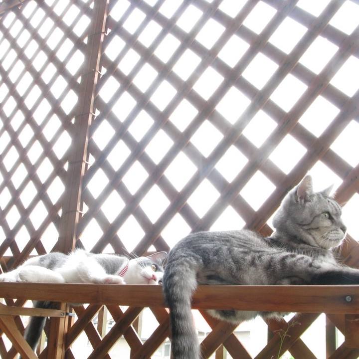 B017e827 aa8c 4b09 a4f0 20f2a0473697