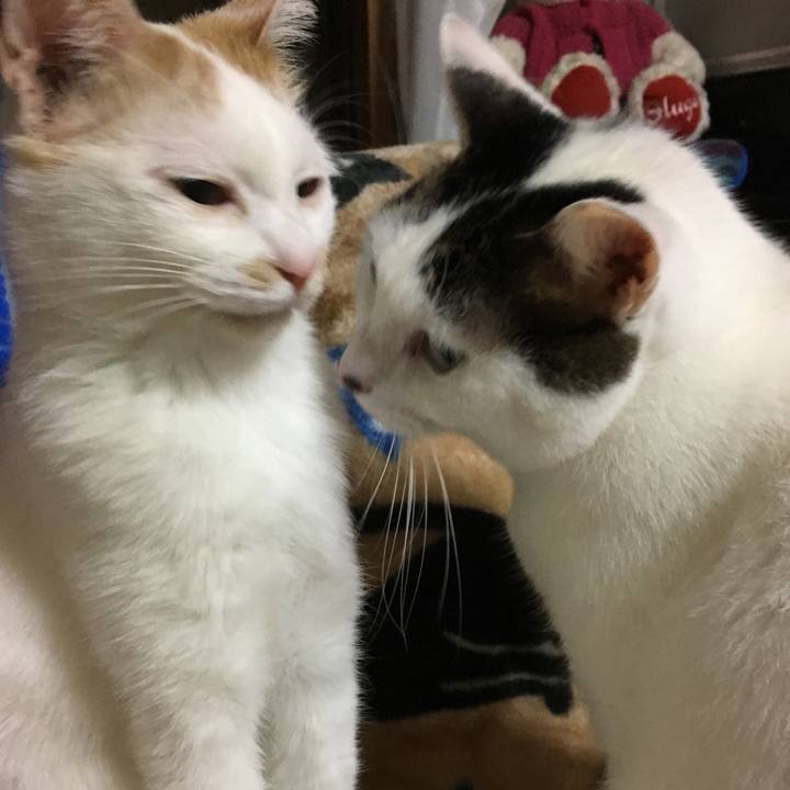 B0183fda 362b 49c0 b05a d4a67e197777