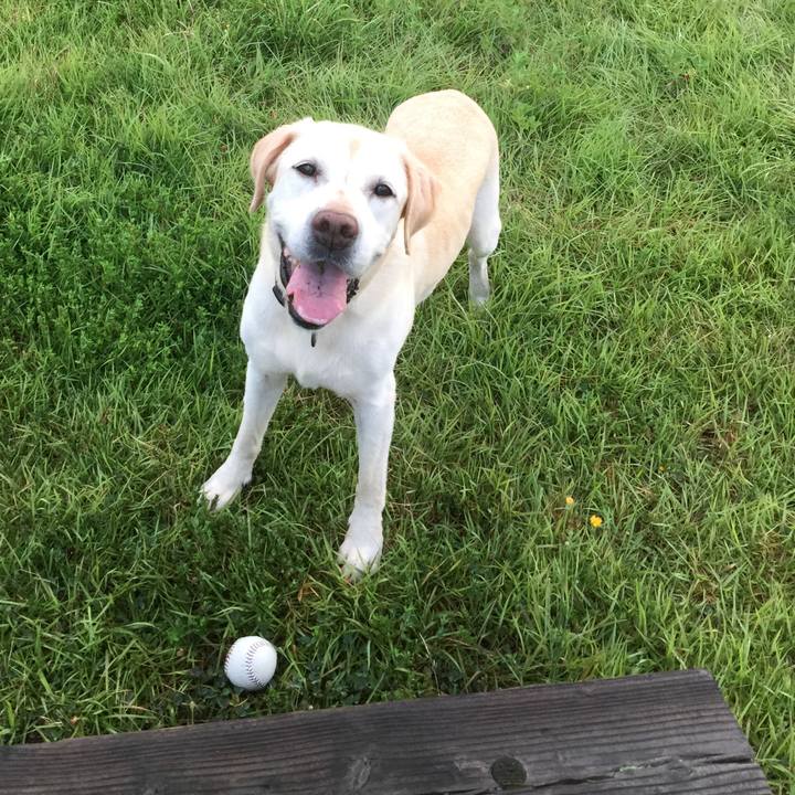 B0184602 d606 4d3f b5e7 610f31f93258