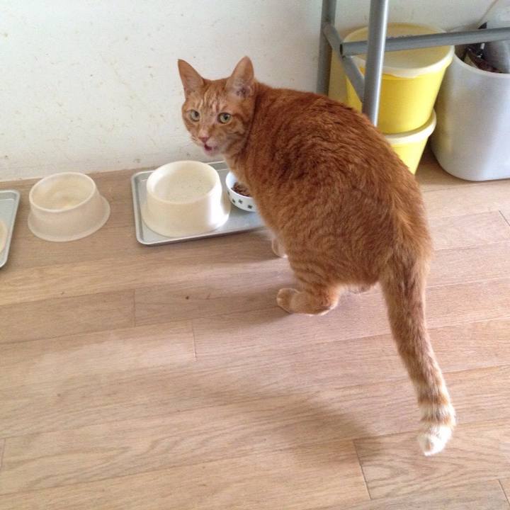 B0184c31 2fdd 46ae 8c70 c9e1af2aa5b8