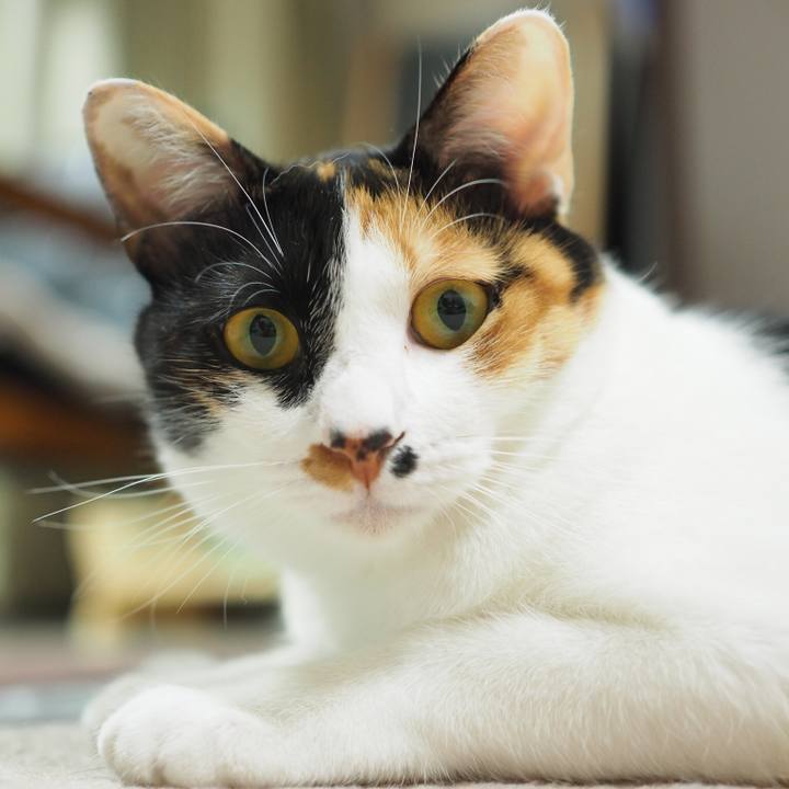 B0197246 4495 4332 b17d abfe561ada40