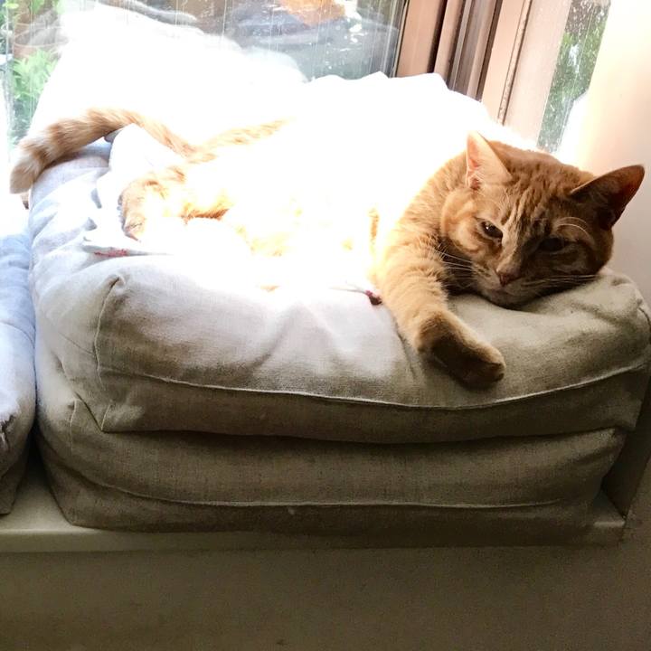 B0199baf c874 4521 84c0 f7270c06493b