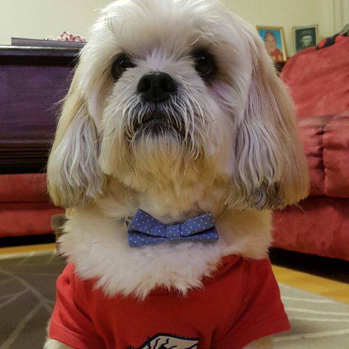 B019e51a 9311 4f0a ad58 9445c36cc06e