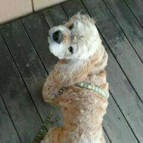 B01a03e0 62fd 432b aa50 3ee610f9e036