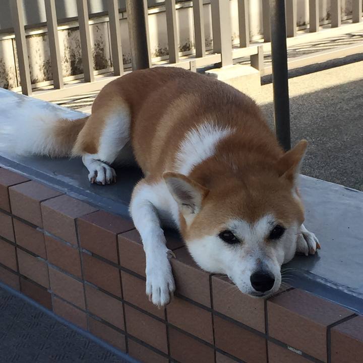 B01a8bb9 6522 4fd9 b823 b7d5301286fc