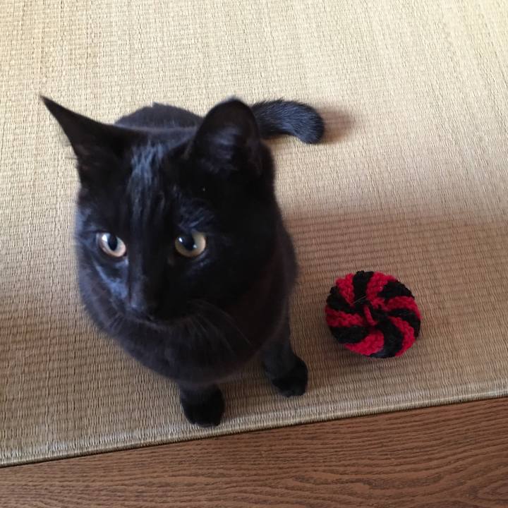 B01af50b bfce 4977 8440 a436764c67c1