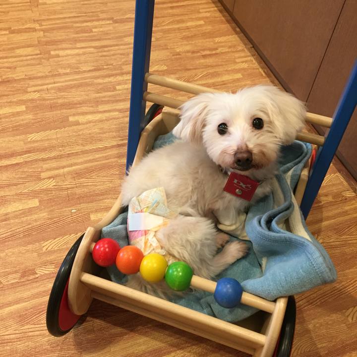 B01b4e07 a4fc 497c 8ce9 02d2297eeff4