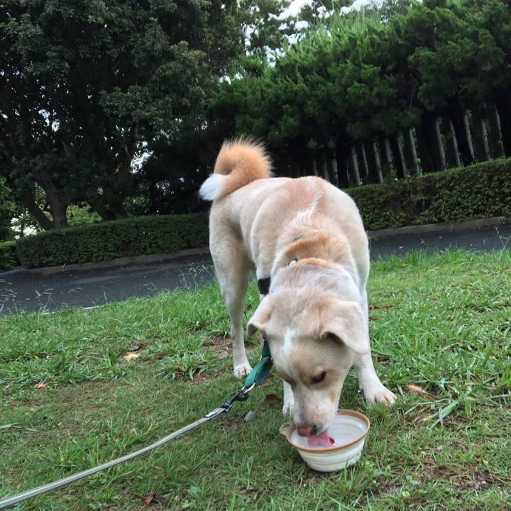 B01b5cb1 7c7e 4813 9367 b6a09a2cf127